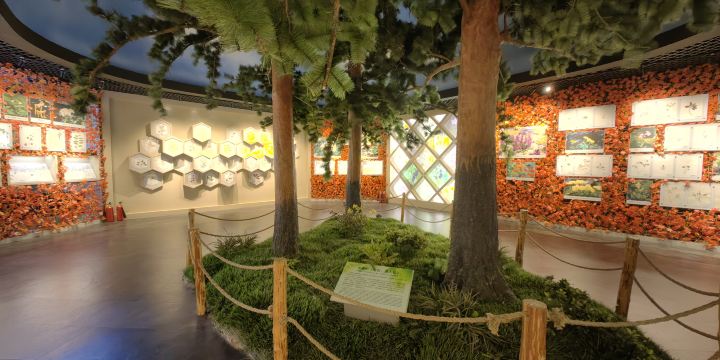 Changbaishan Natural Museum