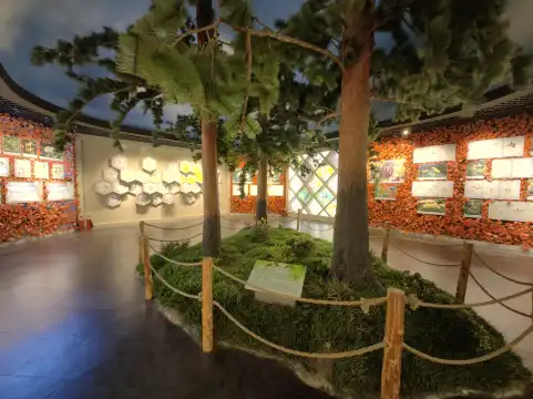 Hotels near Changbaishan Natural Museum