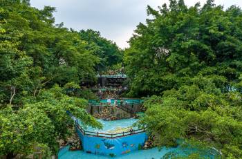 Top 5 Hot Springs Attractions in Emeishan