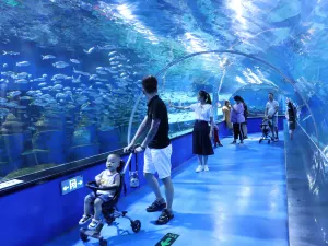 Shouguang Polar Ocean World