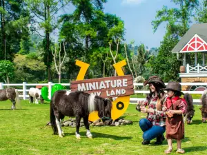 Cimory Dairyland Riverside Puncak Bogor