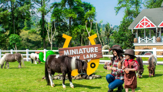 Cimory Dairyland Riverside Puncak Bogor