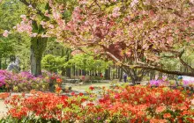 Nami Island