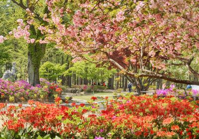 Nami Island