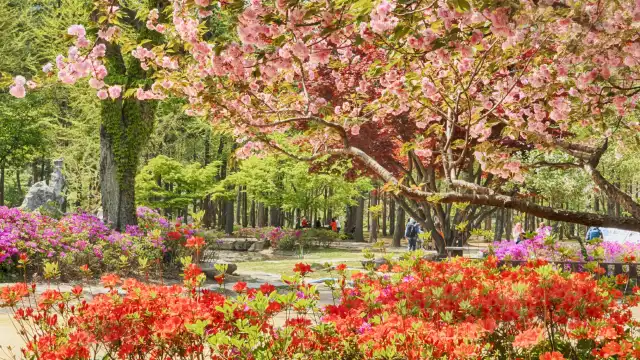 Hotels near Nami Island
