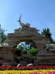 Xining Wildlife Park