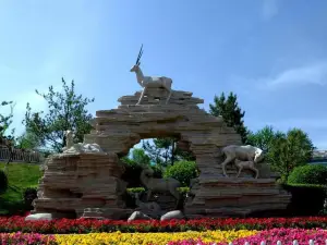 青蔵高原野生動物園