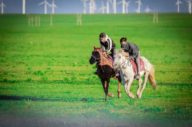 Ulanqab Equestrian Show