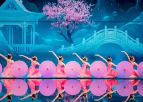 Shanghai Romantic Show
