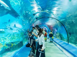 Luoyuan Bay Ocean World