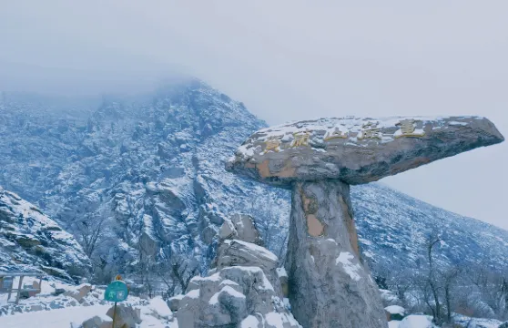 賀蘭山巖畫門票 + 觀光車票(來回)學生