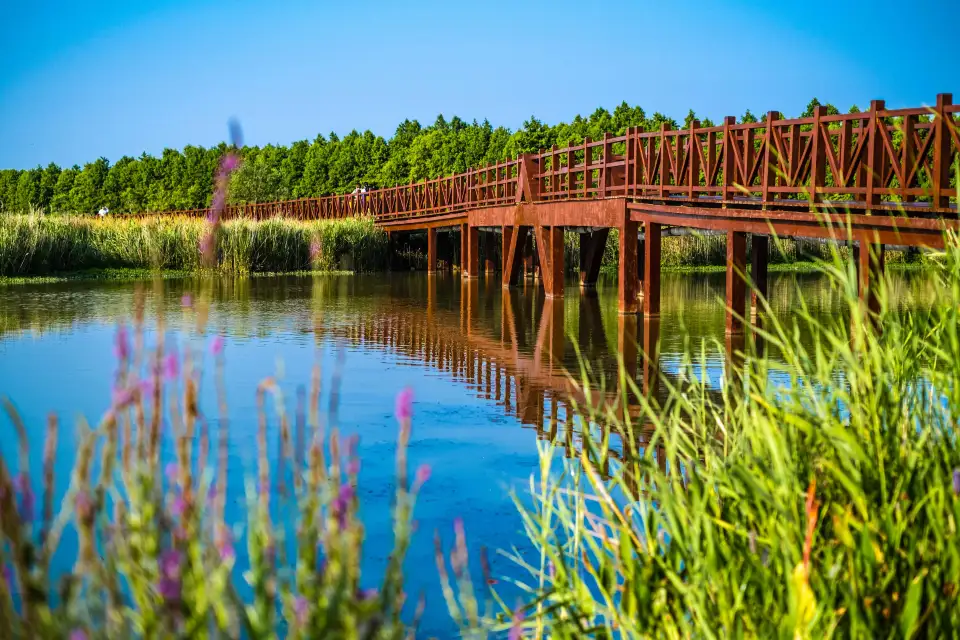 1_Dongtan Wetland Park