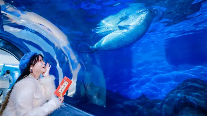 5_上海海洋水族館
