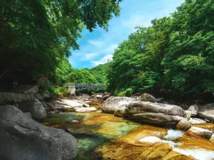 Micang Mountain National Forest Park