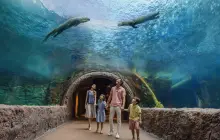 Mandai Wildlife Reserve