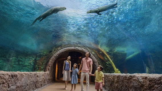 Mandai Wildlife Reserve