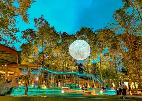 HeHa Forest