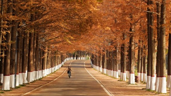 Tongshanhu Forest Park