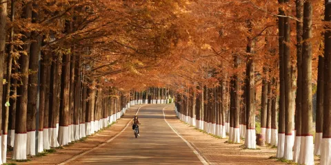 銅山湖森林公園