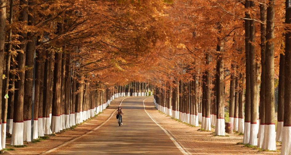 Tongshanhu Forest Park