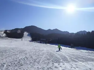 Лингхайский лыжный парк