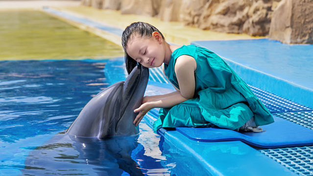 Atlantis Dolphin Cay