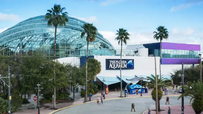 4_The Florida Aquarium