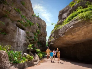 Rainforest Wild ASIA