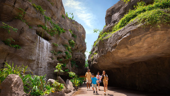 Rainforest Wild ASIA