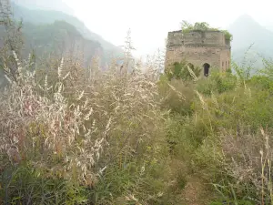東極仙谷自然風景区