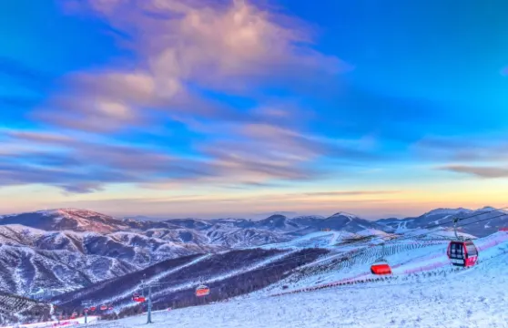 密苑雲頂樂園全雪區滑雪票（不含雪具）成人