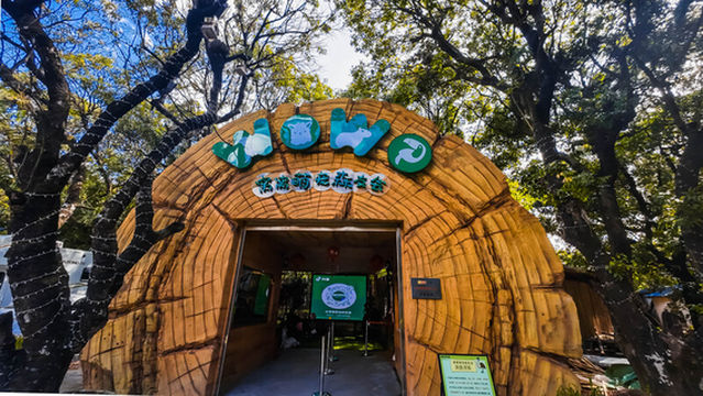 Window of the World - WoWo Cute Pet Forest Friends Club