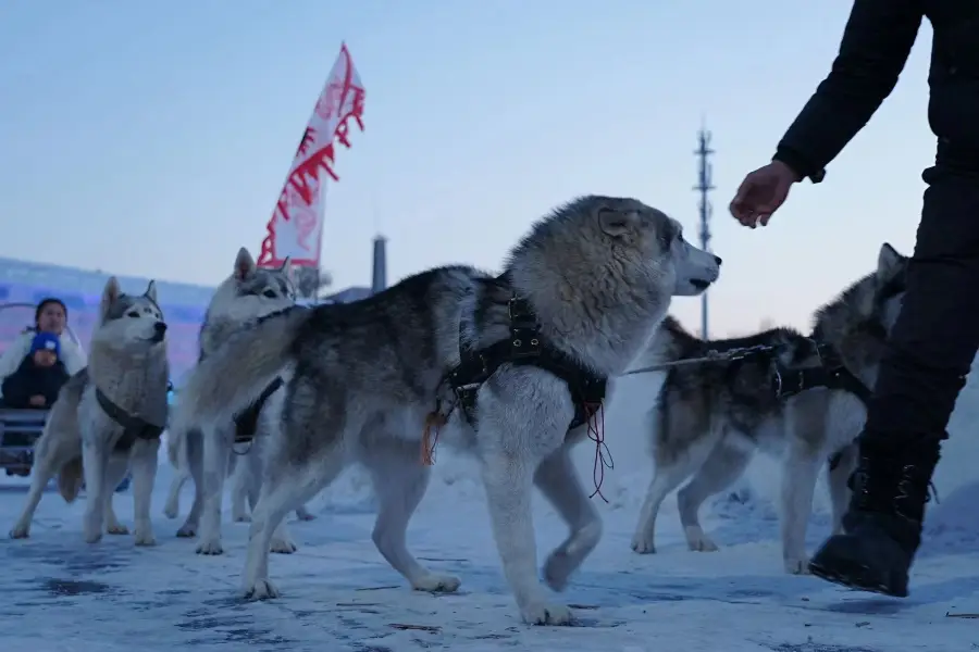 康平卧龍湖驢爸爸冰雪冒險島