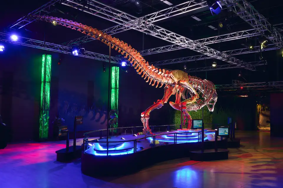 2_Melbourne Museum