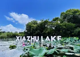 德清下渚湖濕地公園