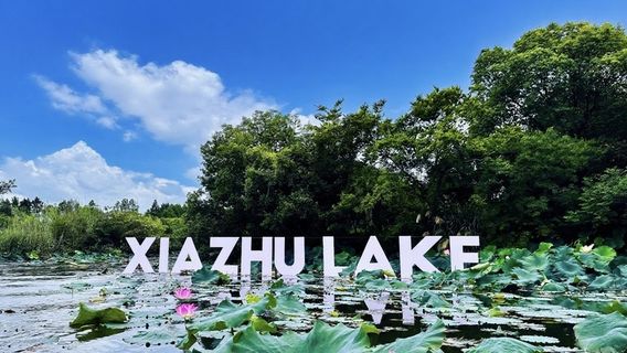 Парк водно-болотных угодий в озере Де Цин