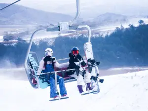 치산/칠산 스키리조트