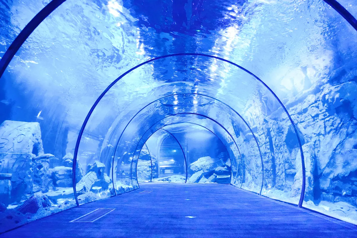 4_舟山長喬海洋公園