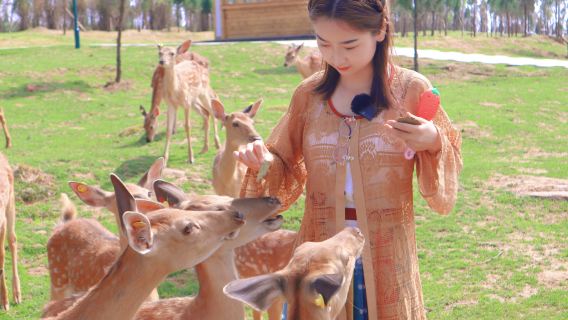 【鄭州出發】伏羲山旅遊度假區多景點可選·1日遊*無購物·純玩