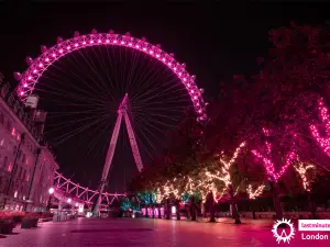 Top 7 Night Attractions in Greater London