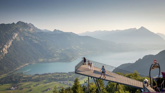 Harder Kulm