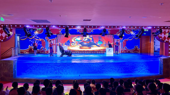 hu bei jiao tou hai chang hai yang tan suo guan