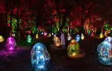 teamLab Botanical Garden Osaka