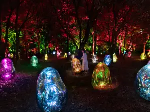 teamLab Botanical Garden Osaka