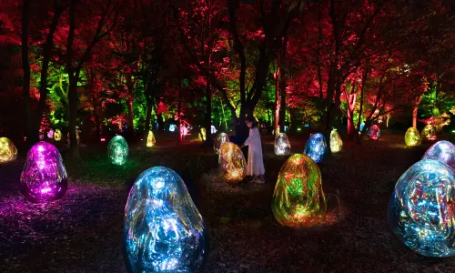 teamLab Botanical Garden Osaka