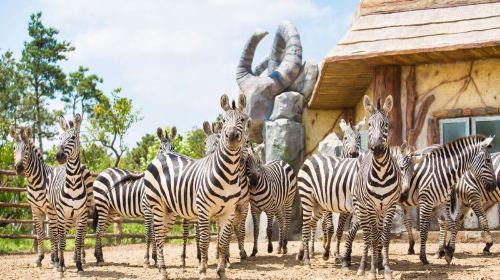 Quancheng Oulebao Animal Kingdom