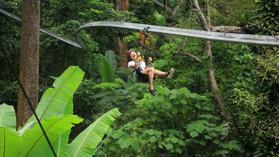 Jungle Ziplining in Phuket
