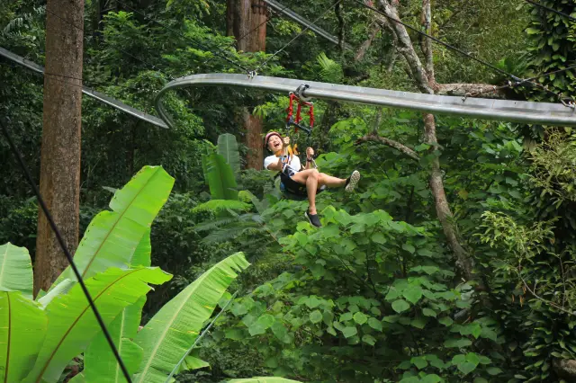 Jungle Ziplining in Phuket