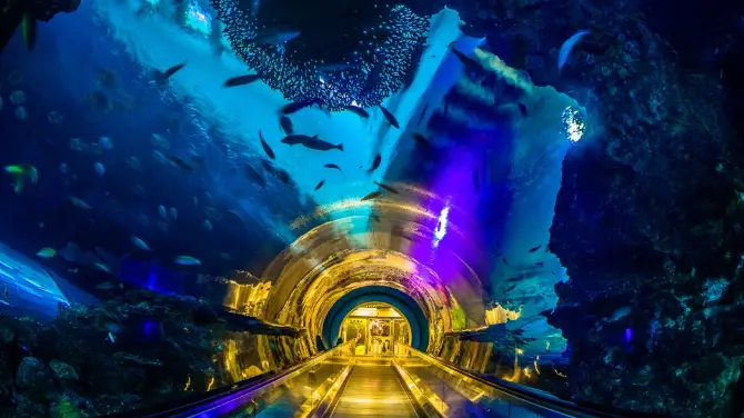 5_台灣海洋生物博物館
