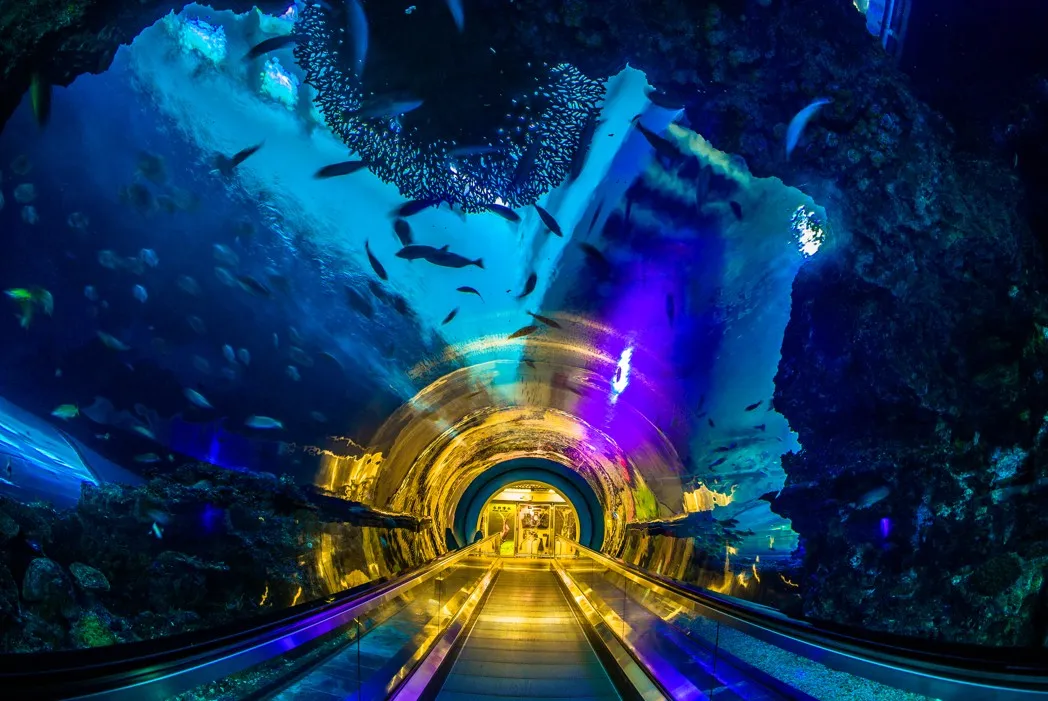 5_台灣海洋生物博物館
